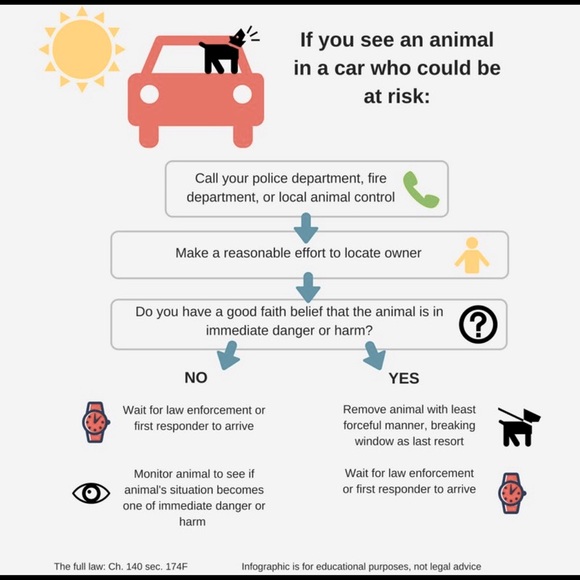 🐈‍⬛🐕 KEEP EM COOL 🐕‍🦺🐈 - Picture 2 of 5